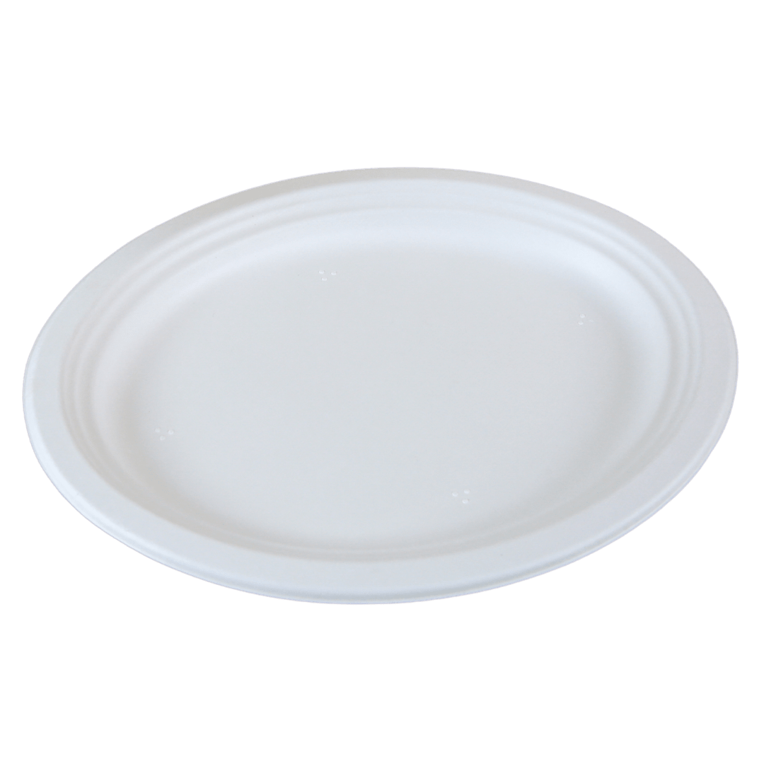 10" Oval Sugarcane Plate