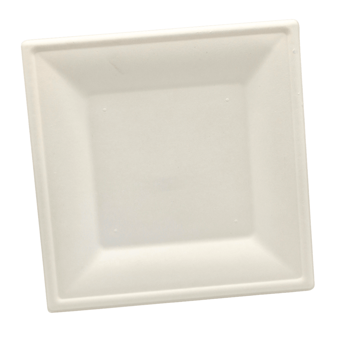 10" Square Sugarcane Plate