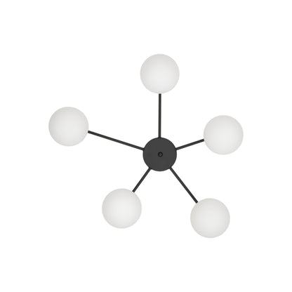 ELTON Black Scandinavian Ceiling Lamp for Living Room, Bedroom & Hallway