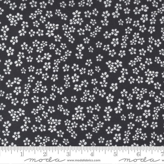 Create by Alli K for Moda - Mini Daisy - Ink