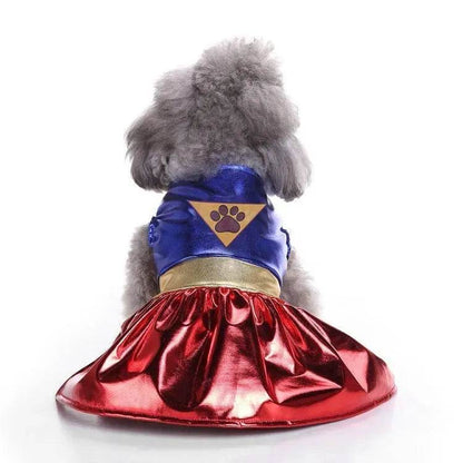 Christmas old man dog clothes