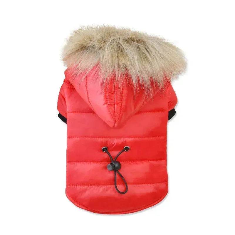 Veste d'hiver pour animaux, manteau chaud d'automne pour chien et chat, sweat à capuche pour animaux, veste en fausse fourrure pour animaux
