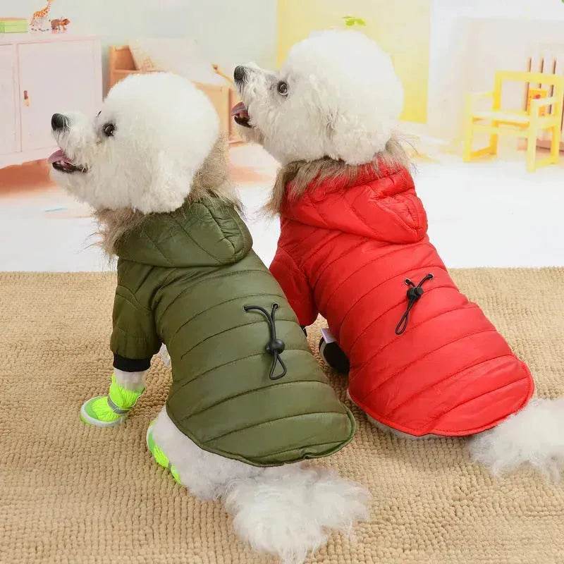 Veste d'hiver pour animaux, manteau chaud d'automne pour chien et chat, sweat à capuche pour animaux, veste en fausse fourrure pour animaux