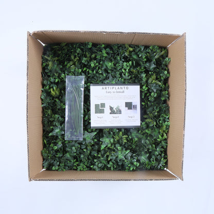 Granada (box of 12)
