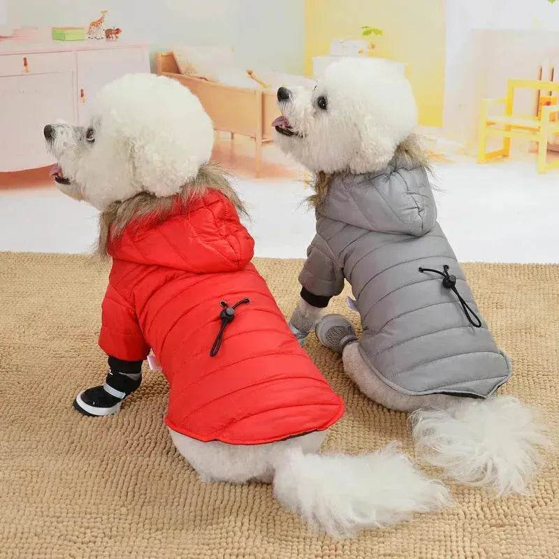 Veste d'hiver pour animaux, manteau chaud d'automne pour chien et chat, sweat à capuche pour animaux, veste en fausse fourrure pour animaux