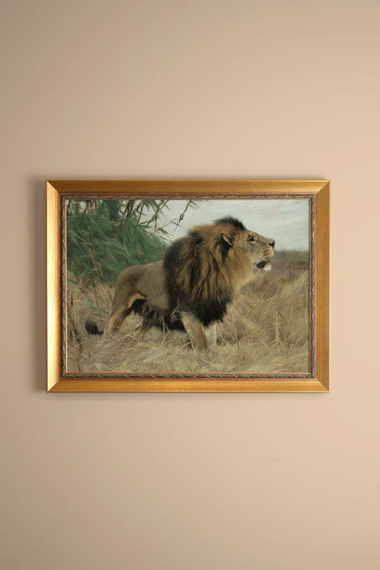 MAJESTÉ SAUVAGE, CADRE VINTAGE OU