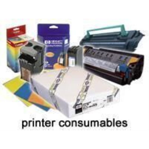 Epson Premium Glossy Photo Paper, 44" X 100', 250, M