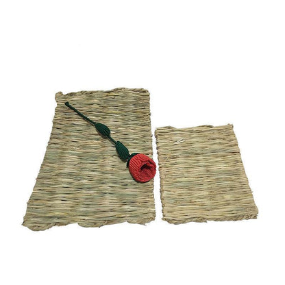 Tapis en paille naturelle pour animaux de compagnie