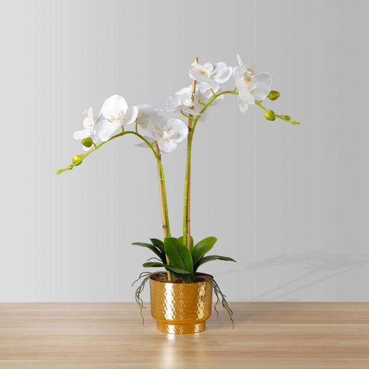 Composition florale artificielle en pot orchidée Glaïeul 60 cm