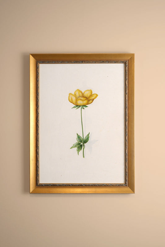 BOTANICAL POETRY, VINTAGE FRAME GOLD