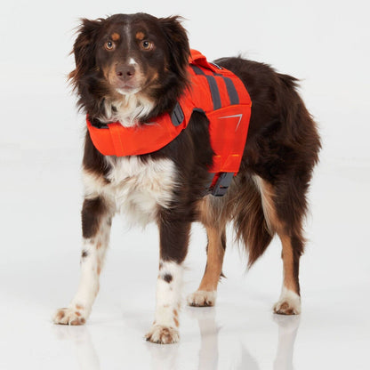 Gilets de sauvetage NRS CFD pour chiens