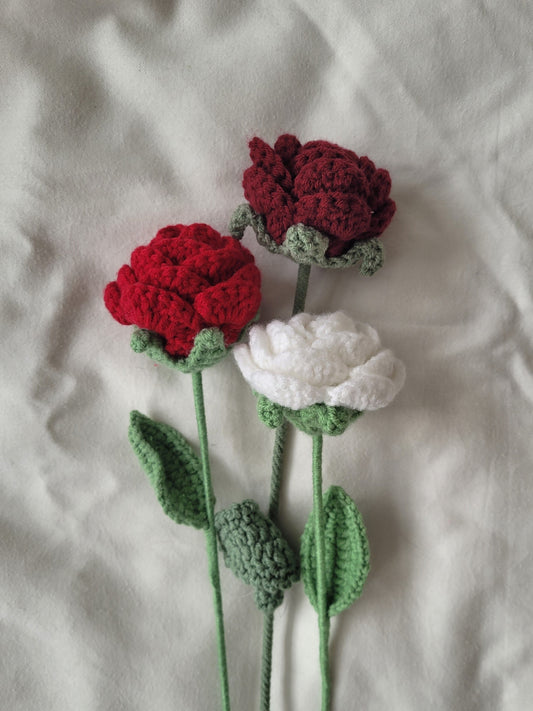 Rose (couleur unie)