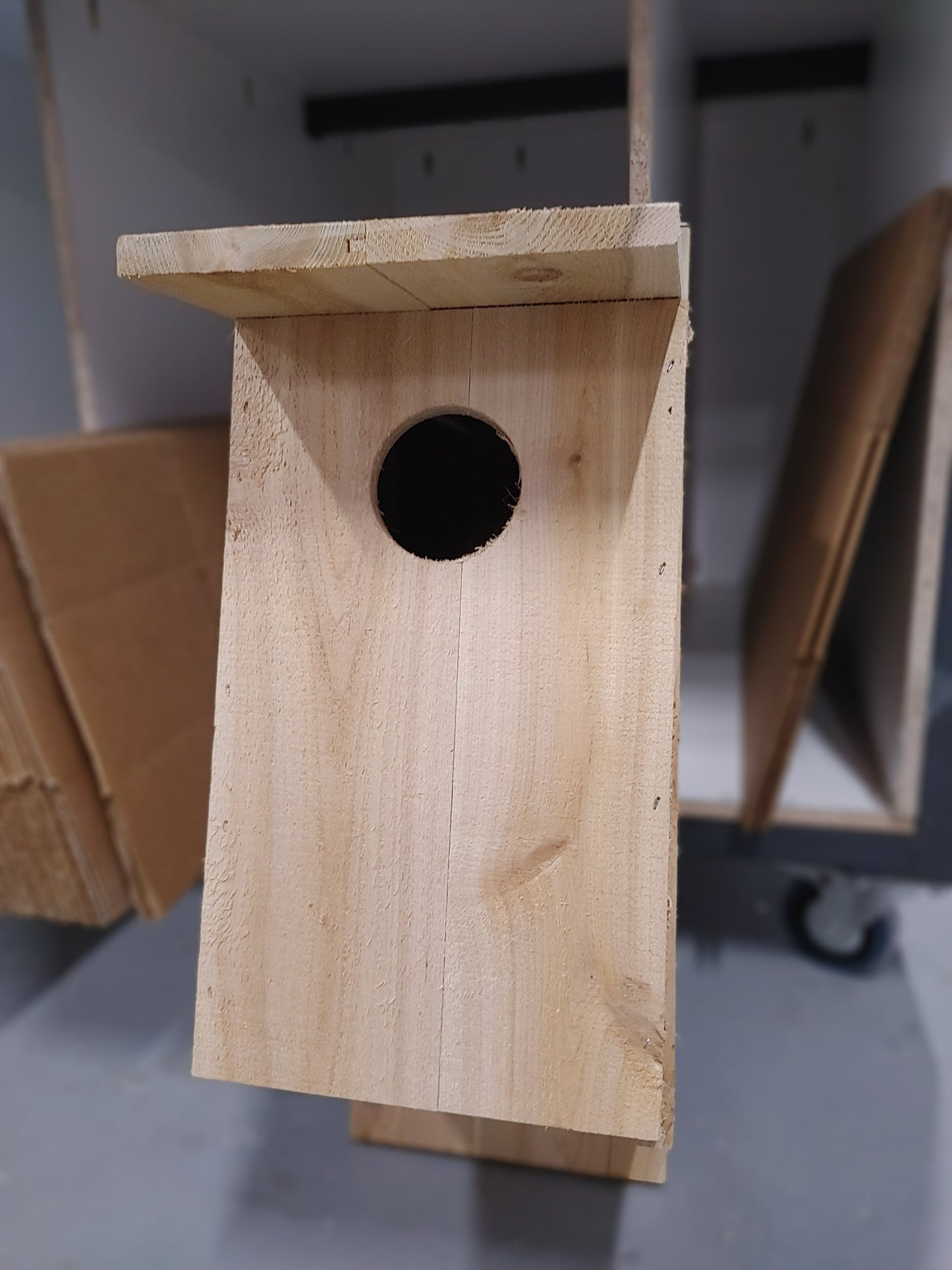 Birdhouses 2025