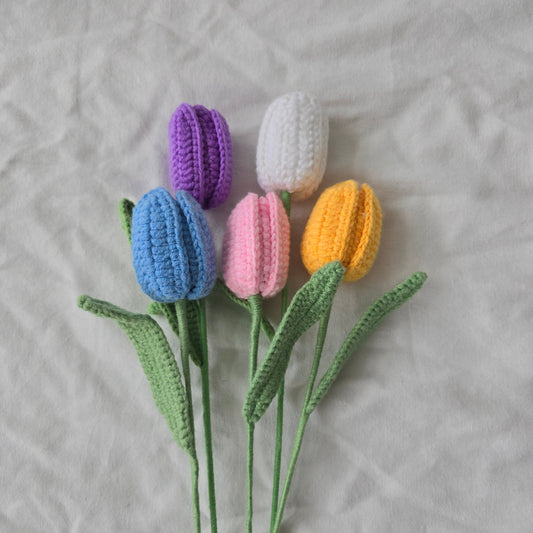 Tulipe fermée