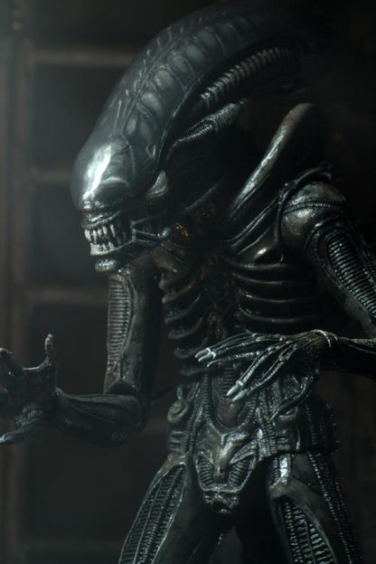 Neca - Alien - Ultimate 40th Anniversary Big Chap