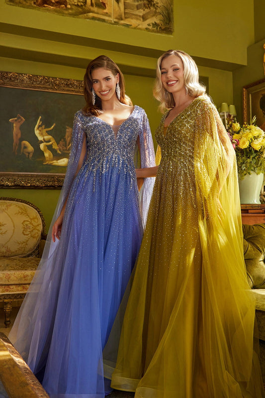 robe de princesse à manches longues