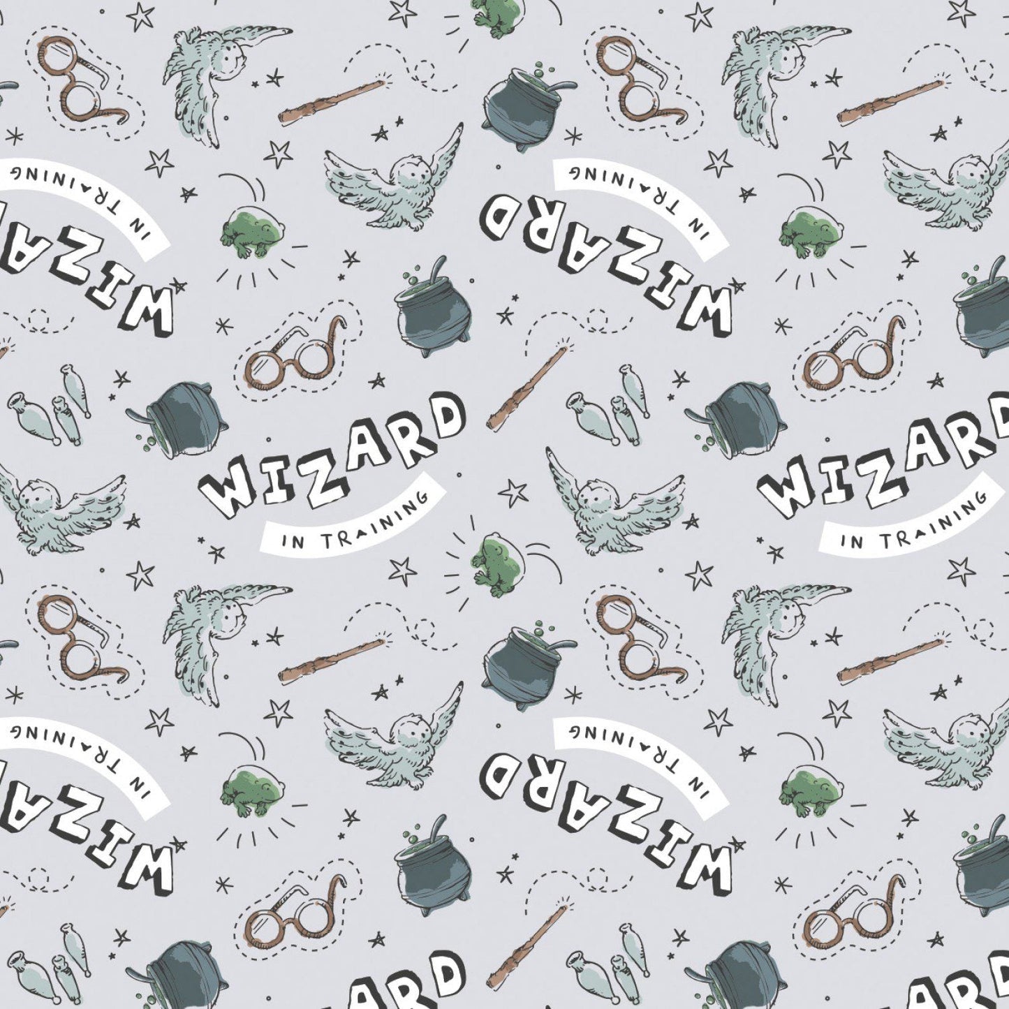 Camelot - Harry Potter - Wizard in Training - Grey