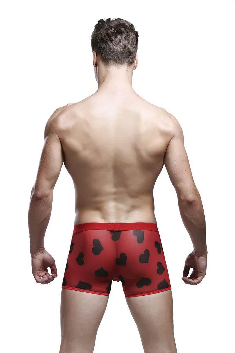 Spandex Mesh Printed Pouch boxer briefs  underwear men