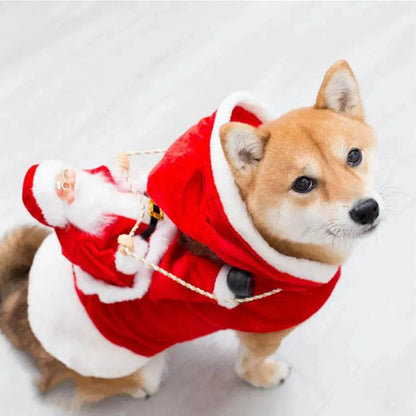 Costume de Noël pour chien, Elfe vert, Vêtements de Noël tendance