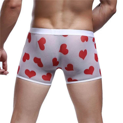 Spandex Mesh Printed Pouch boxer briefs  underwear men