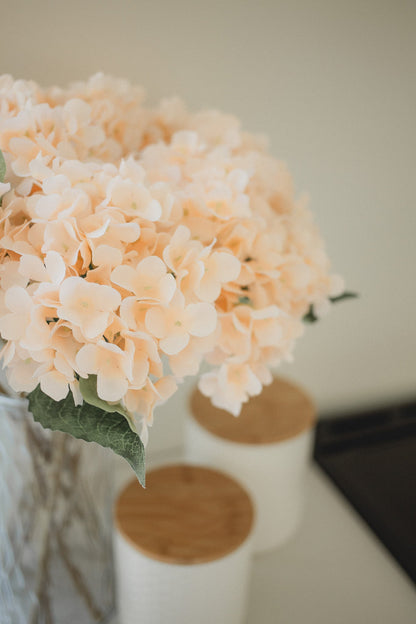 Hortensia
