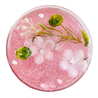 fleur de cerisier