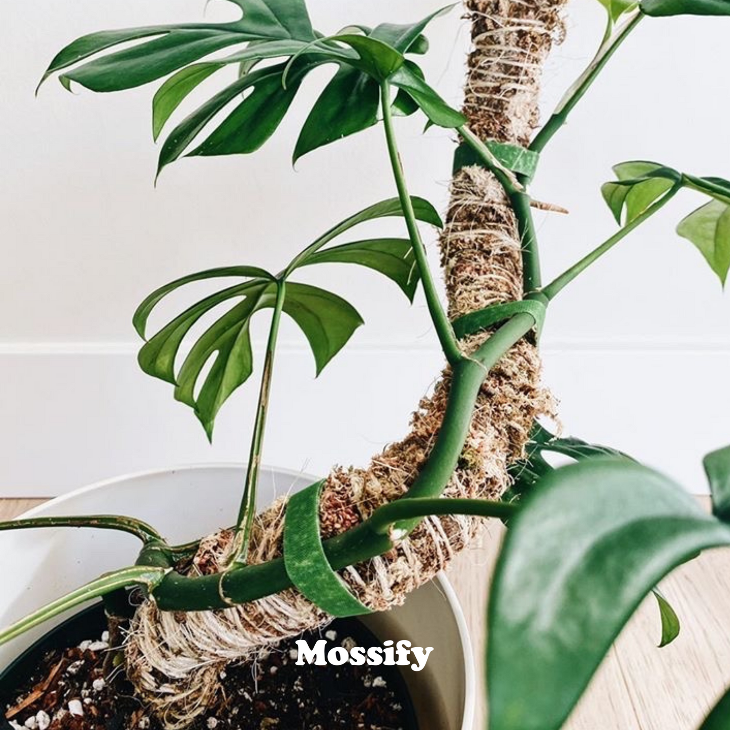 Tuteur en Mousse Souple Original™ - Meilleure Vente (Tiges Incluses)