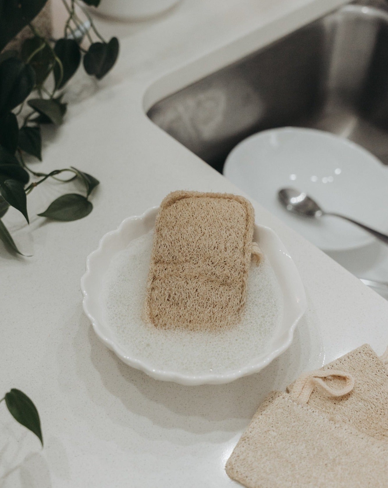 Éponge de loofah naturelle (lot de 3)