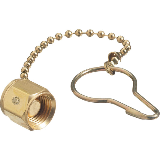 Chain & PLug