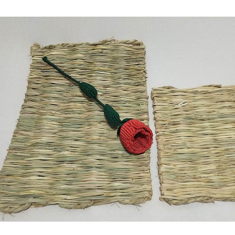 Tapis en paille naturelle pour animaux de compagnie