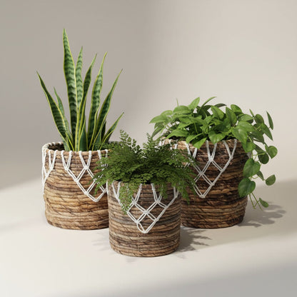 Panier de jardinière Apex en feuille de bananier et macramé