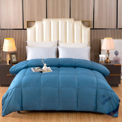 Downfull Spring And Autumn Winter Duvet Thickened Velvet Quilt Comforter
