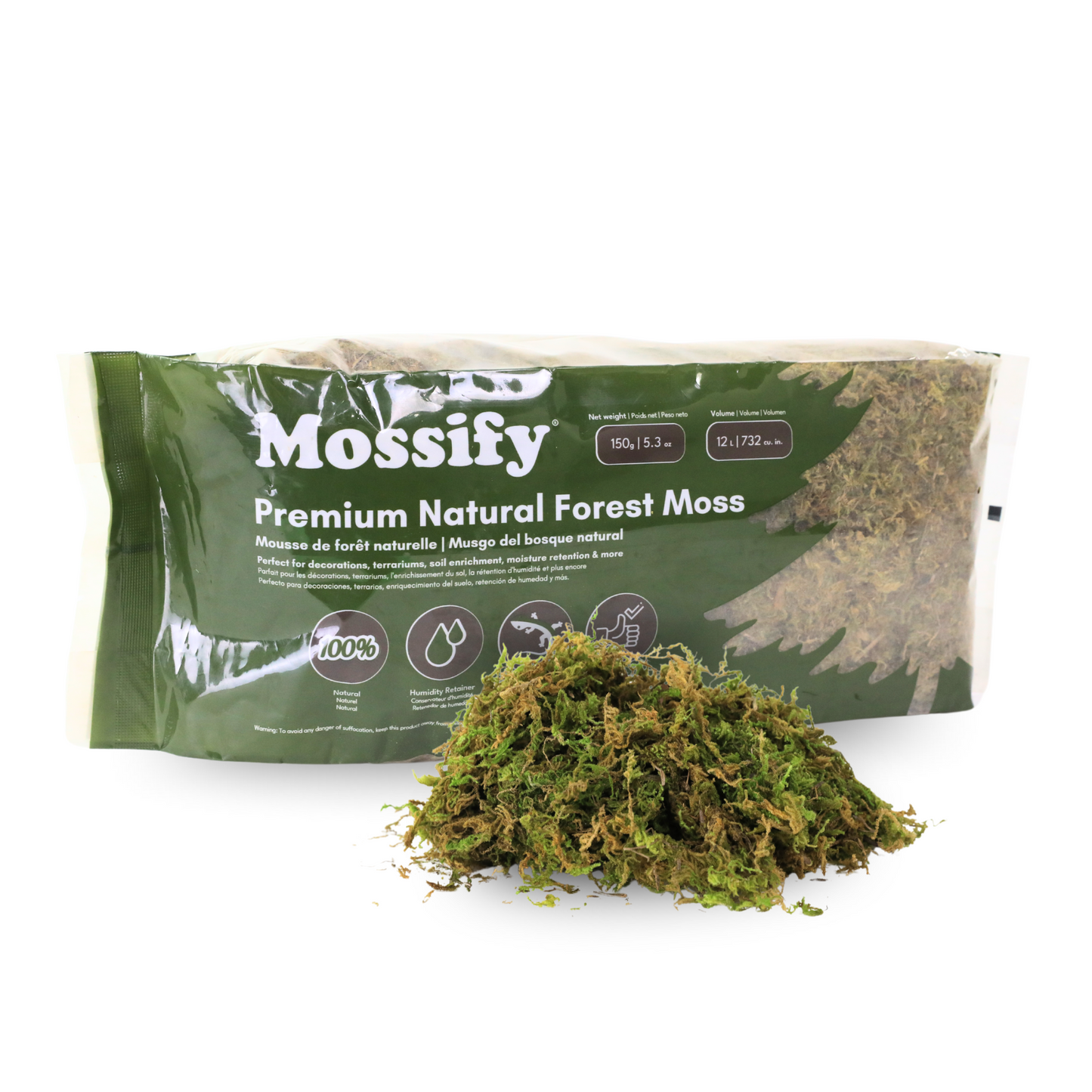 Premium Natural Forest Moss