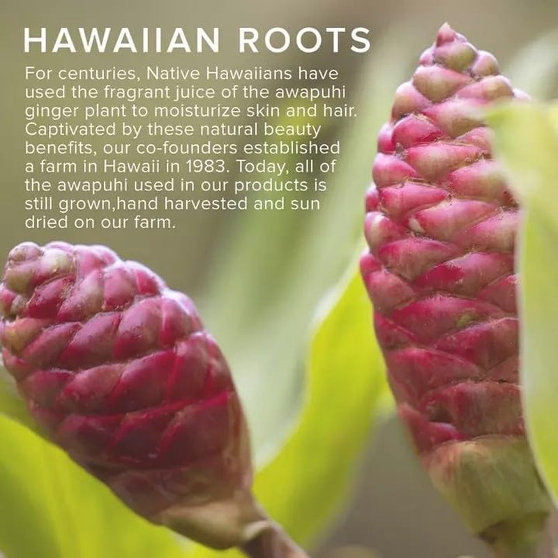 Awapuhi Wild Ginger Paul Mitchell Awapuhi Wild Ginger Styling Treatment Oil