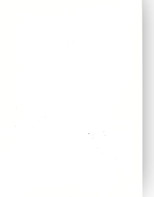 Foundation Cardstock  25 shts 220 gsm - Milk White