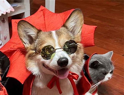Halloween Dog & Cat Costume – Vampire King Cloak with Spooky Black Design