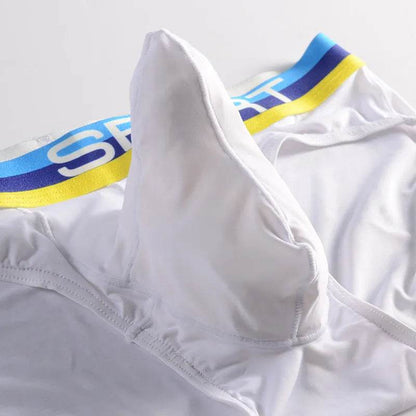 Silk Quick dry Breathable Ball sack Briefs with Pouch underwear men.