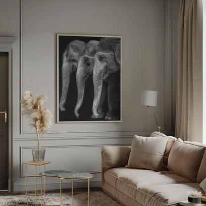 Wall art Nature\'s great masterpiece, an elephant; the only harmless great thing ...