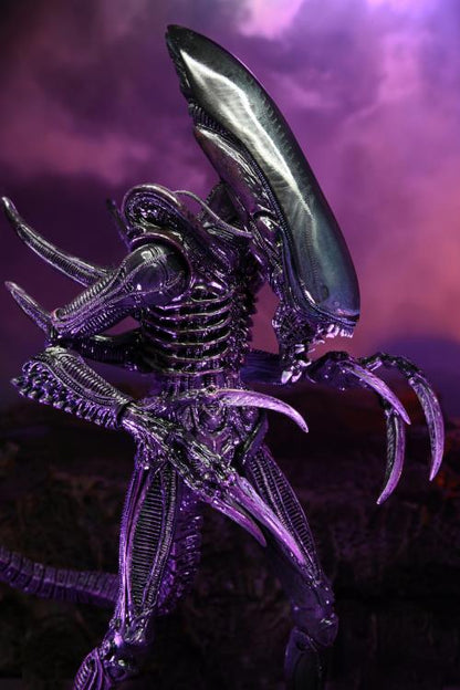 Neca - Alien vs. Predator Razor Claws - Movie Deco