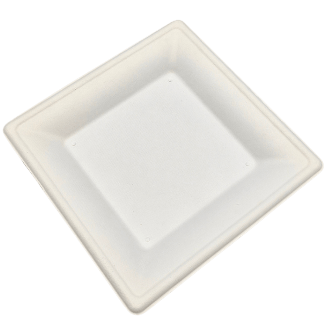 6" Square Sugarcane Plate