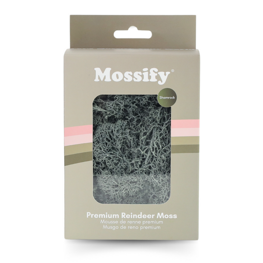 Mousse de renne stabilisée de qualité supérieure