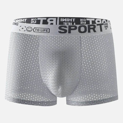 Men's Underwear Mid Waist Mesh Ice Silk Mesh SPORT Boxer Brief