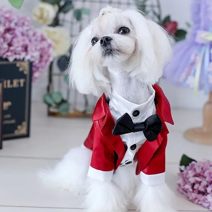 Costume de smoking élégant pour chien | Tenue de cérémonie pour chien