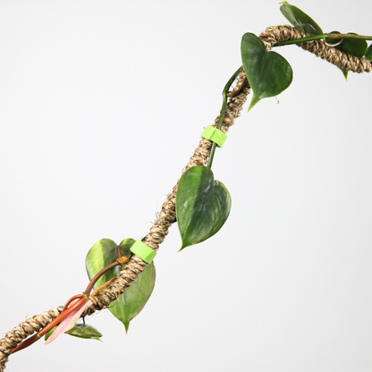 Reusable Plant Tape