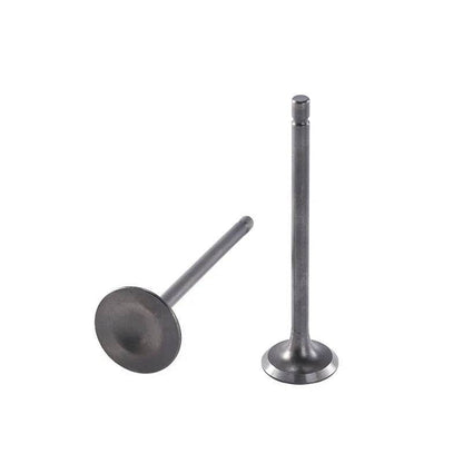 2PCS Motorcycle Engine Nose Alloy Parts Valve CG125