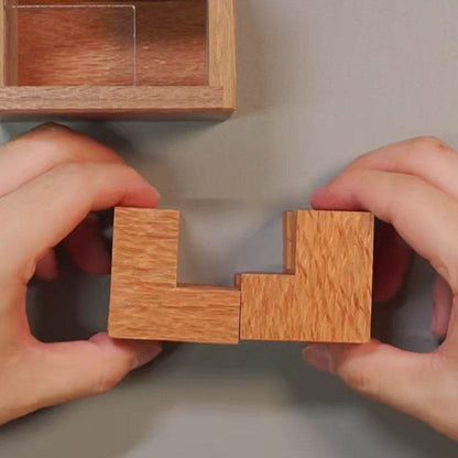 Einstein Lock Wooden Puzzle International Braised Brain Decompression