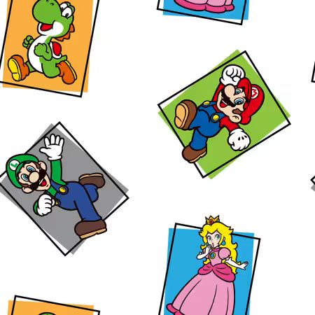 Super Mario Bros. - Character Block