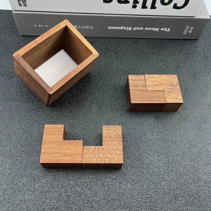 Einstein Lock Wooden Puzzle International Braised Brain Decompression