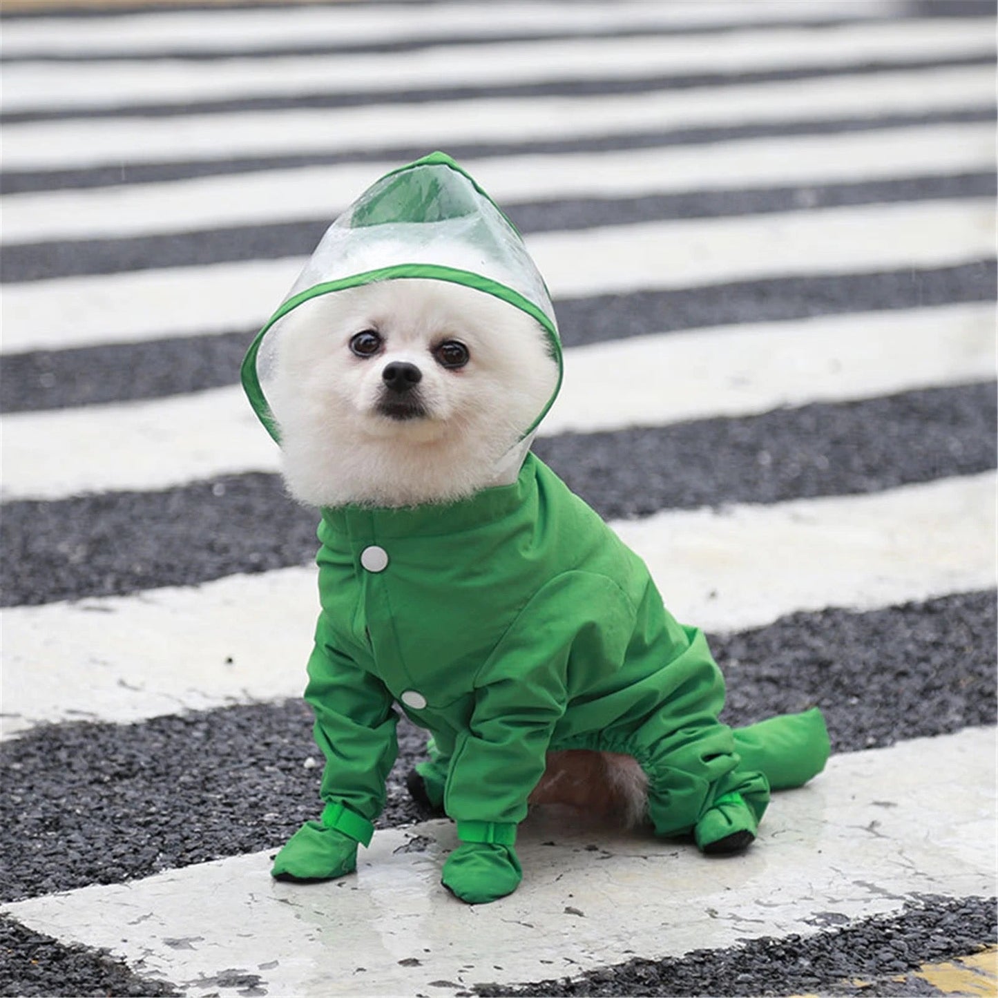 Canada Raincoat