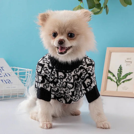 Pull Signature Dogior pour chien | Vêtement douillet pour chien au quotidien
